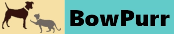 BowPurr