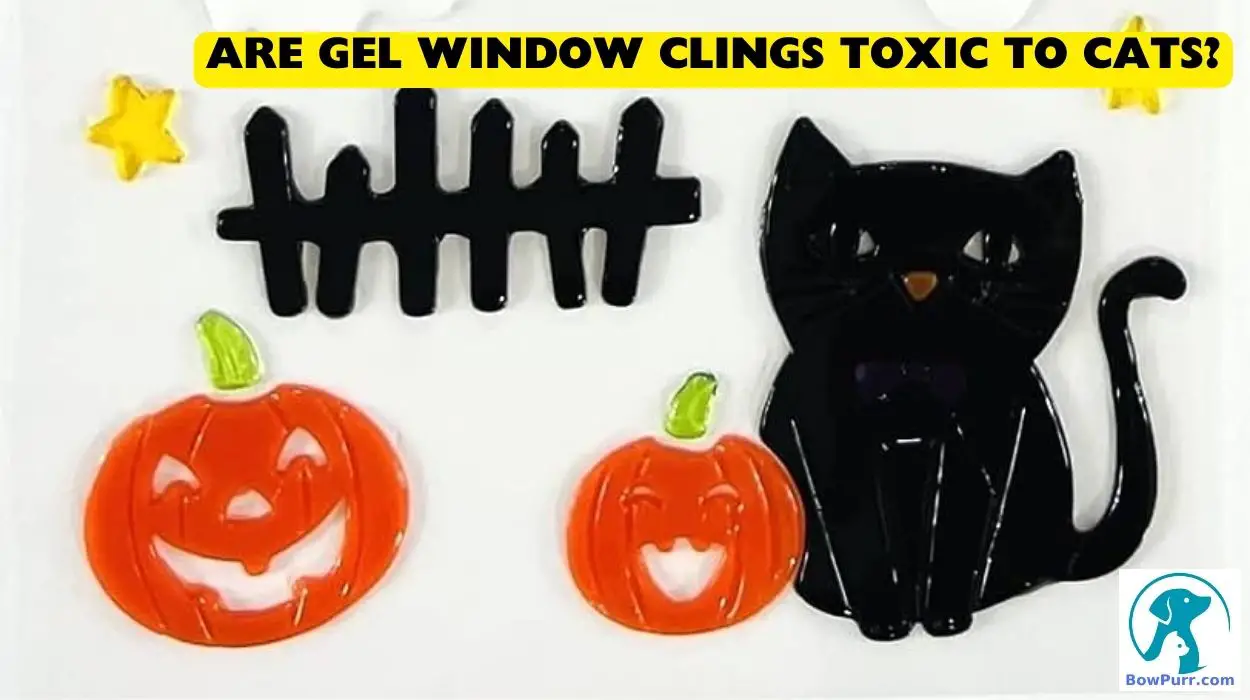 Are Gel Window Clings Toxic To Cats